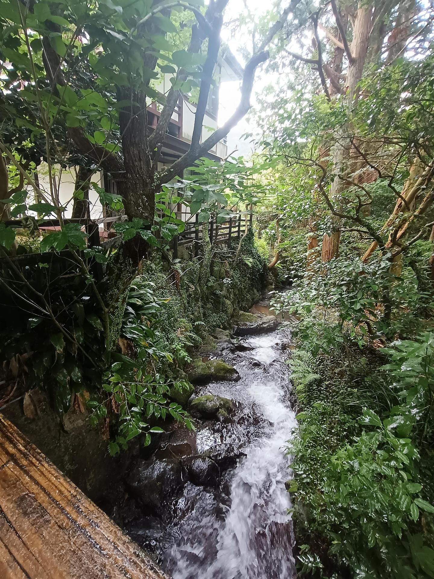 隆瀛（リュウエイ）-image