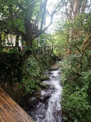 隆瀛(リュウエイ)-image