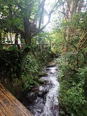 隆瀛（リュウエイ）-image