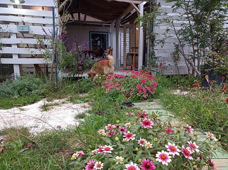 バーベキューテラス