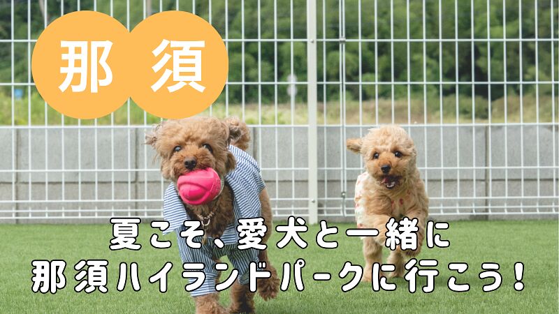 夏こそ、愛犬と一緒に「那須ハイランドパーク」に行こう!