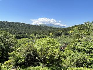 無垢の木の家 木琴館-image