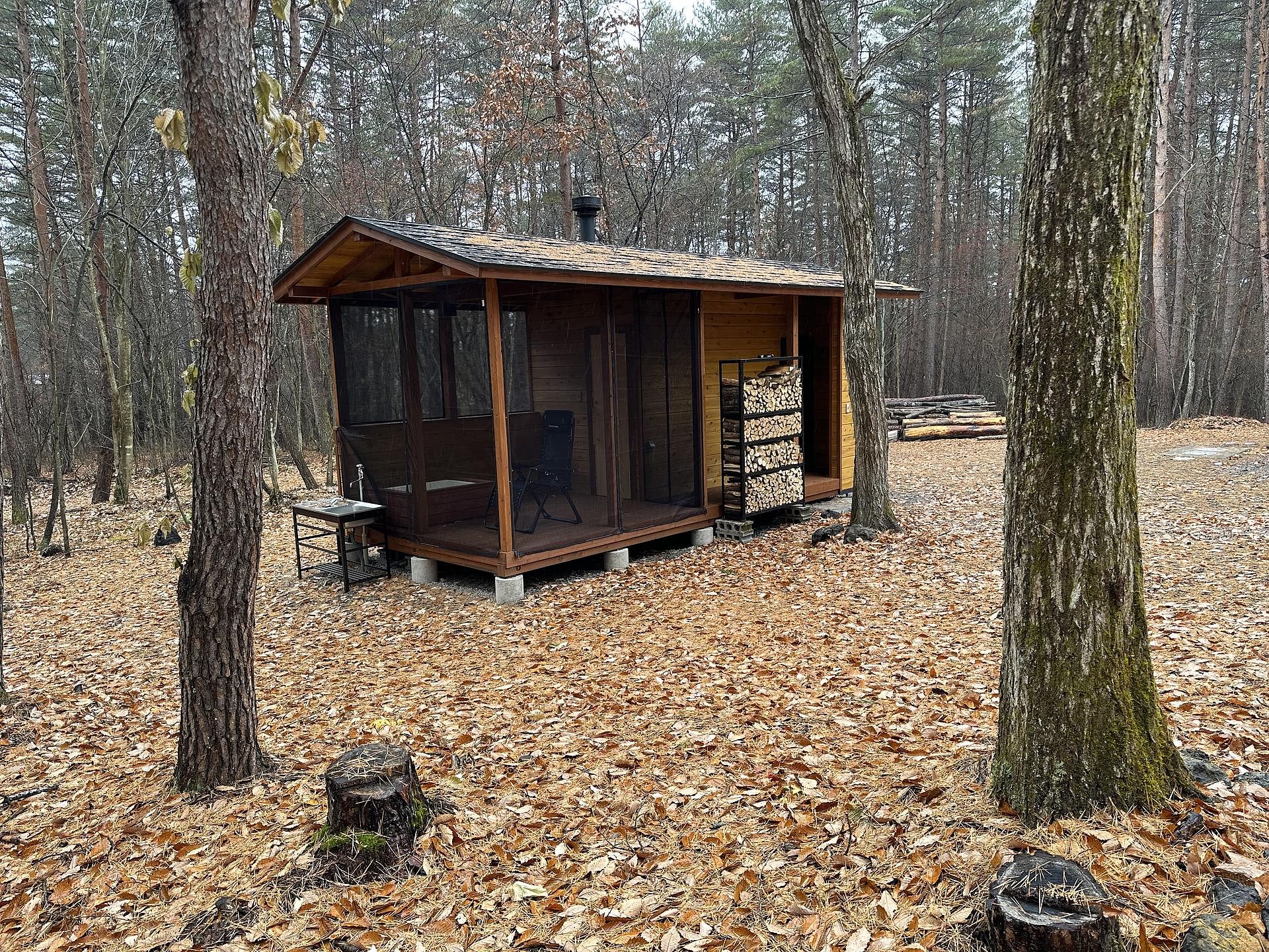 薪サウナ小屋ビュー