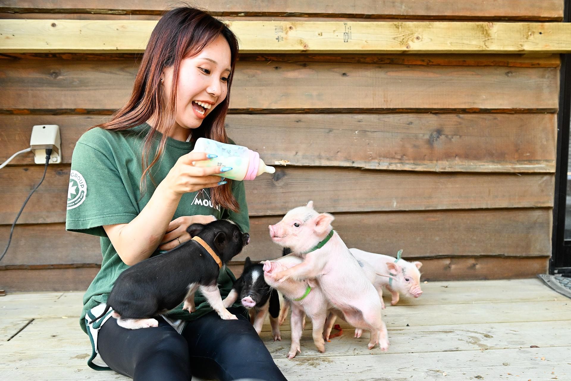 動物触れ合い体験