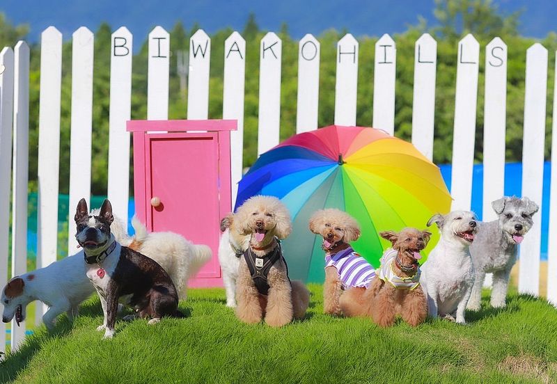 ビワコヒルズビレッジ（ログハウス）-image