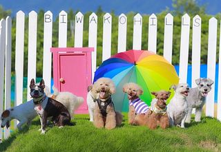 ビワコヒルズビレッジ（ログハウス）-image