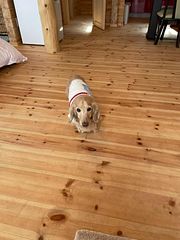 ビワコヒルズビレッジ（ログハウス）-image