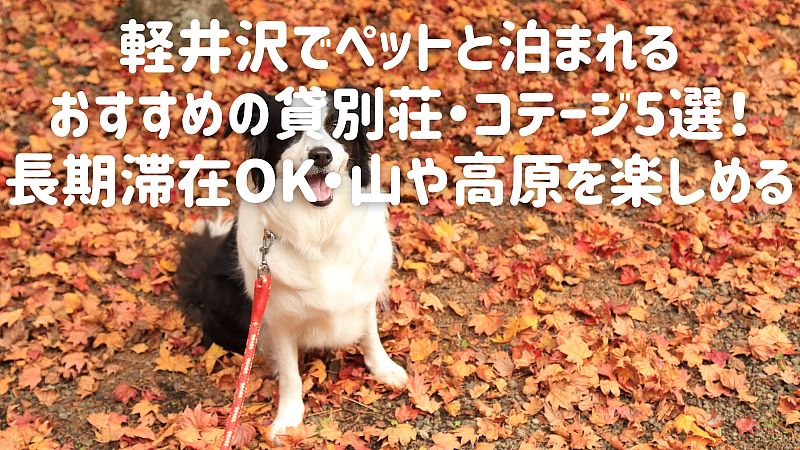 【2025年最新】軽井沢でペットと泊まれるおすすめの貸別荘・コテージ5選！長期滞在OK・山や高原を楽しめる