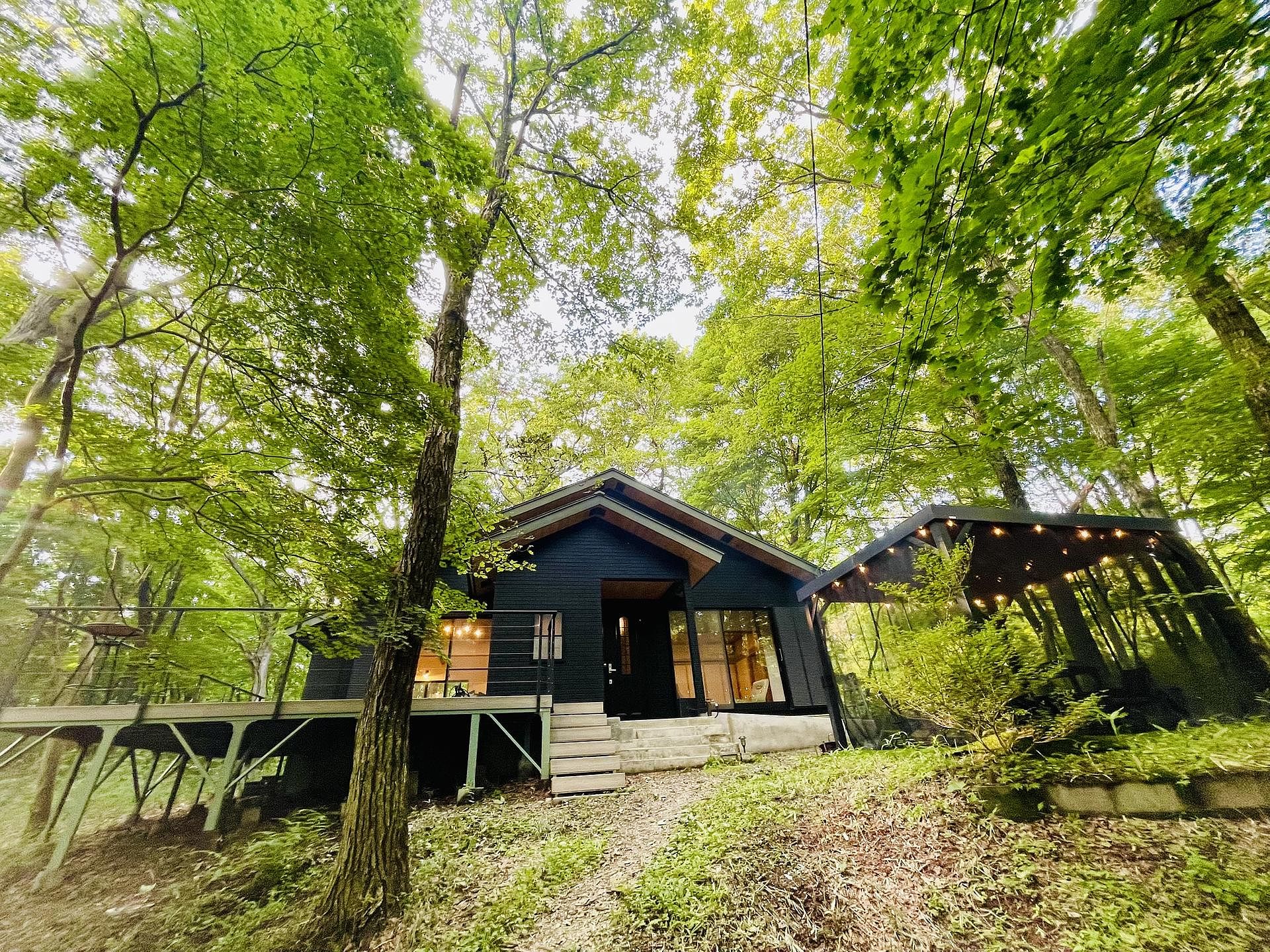 静かな森に佇むロッジ