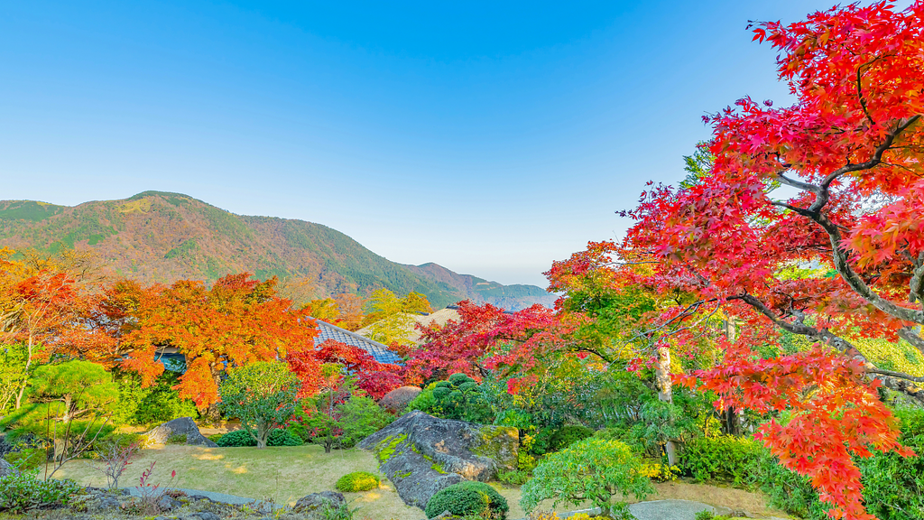 山の紅葉