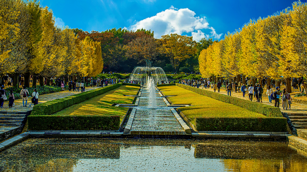国営昭和記念公園