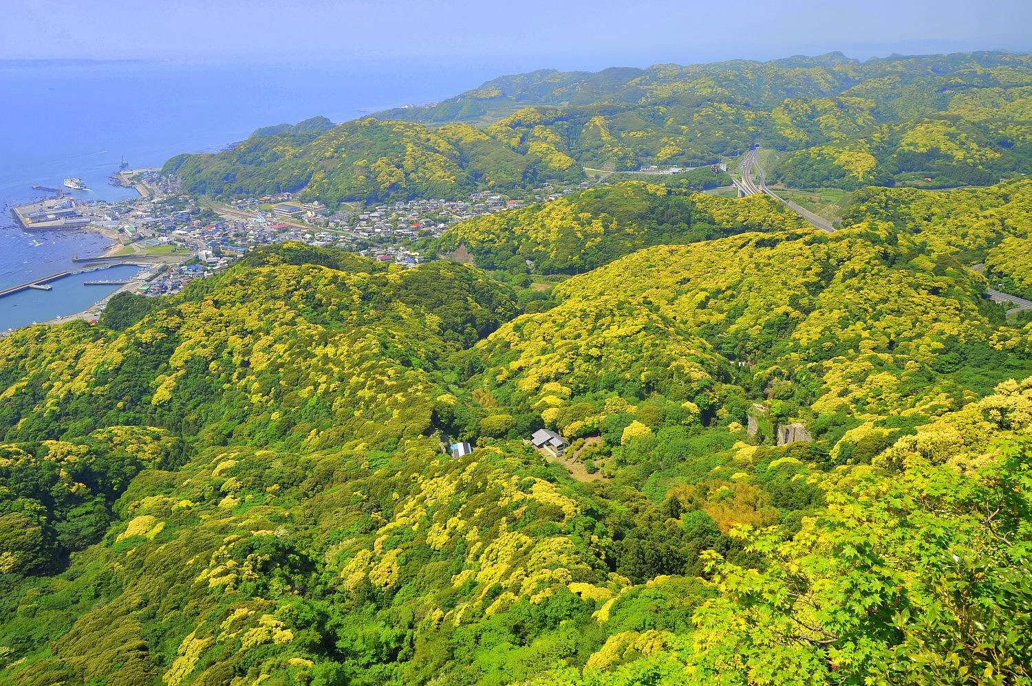 近隣の鋸山はわんちゃんと一緒に遊びに行けるおススメスポット