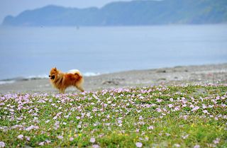 四季折々の花が楽しめる自然豊かな房総にあります。