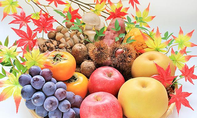 【野菜編】11月に食べたい旬の味覚