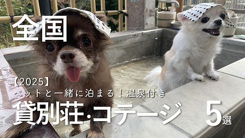北海道・群馬・山梨・石川・静岡｜ペットと泊まれる温泉付き貸別荘・コテージ・一棟貸し 5選【2025】