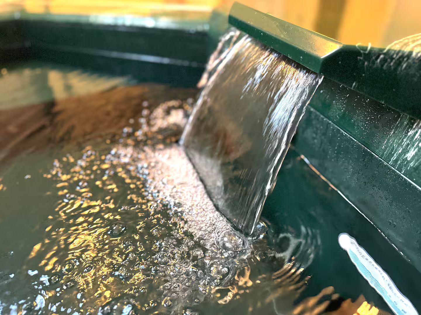 ANGO YAMANAKAKO Ⅱ-image