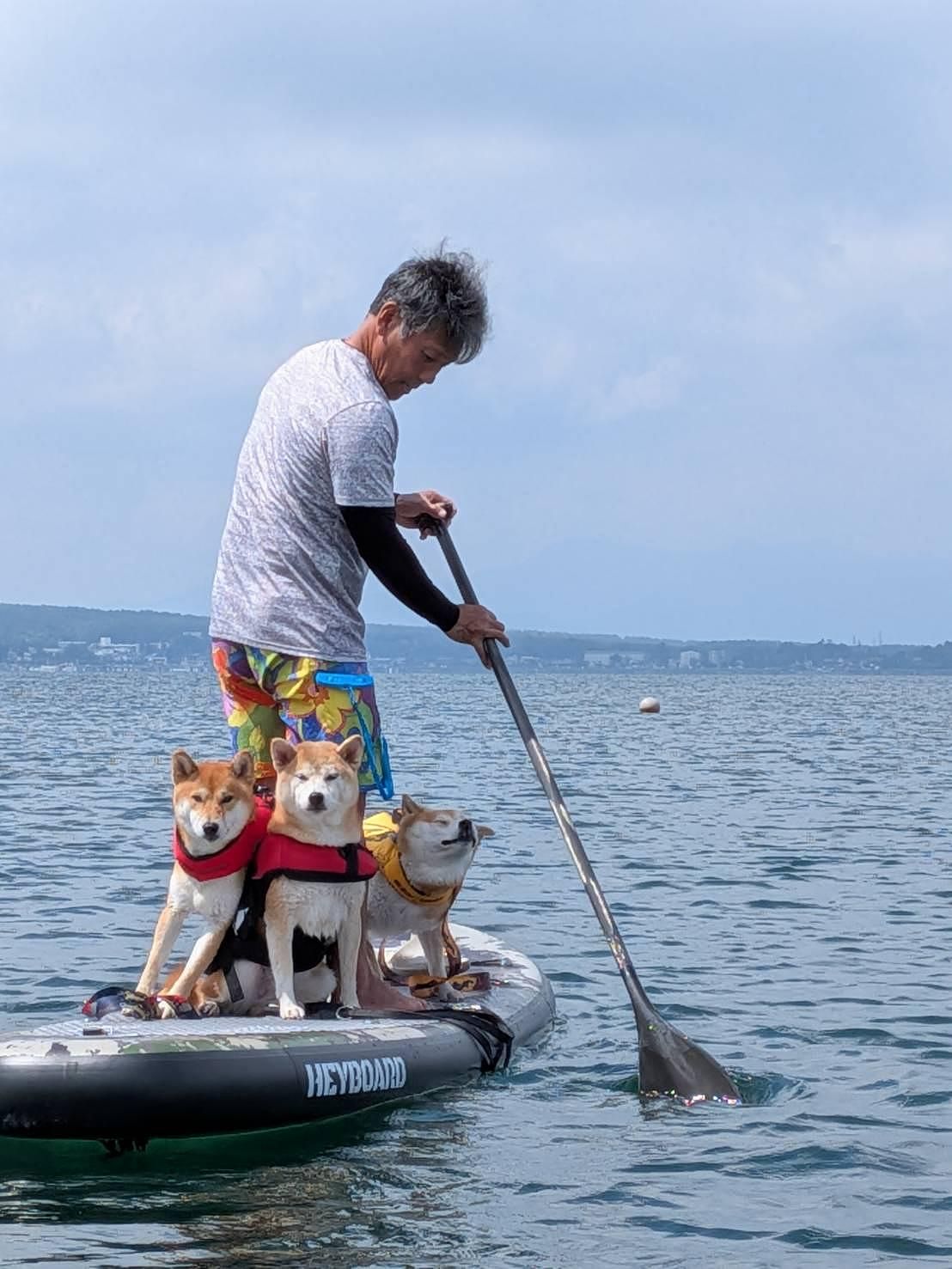 山中湖ドッグSUP