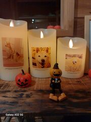 HALLOWEENナイト