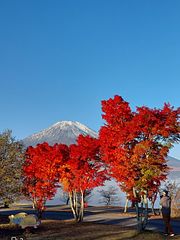 紅葉の山中湖