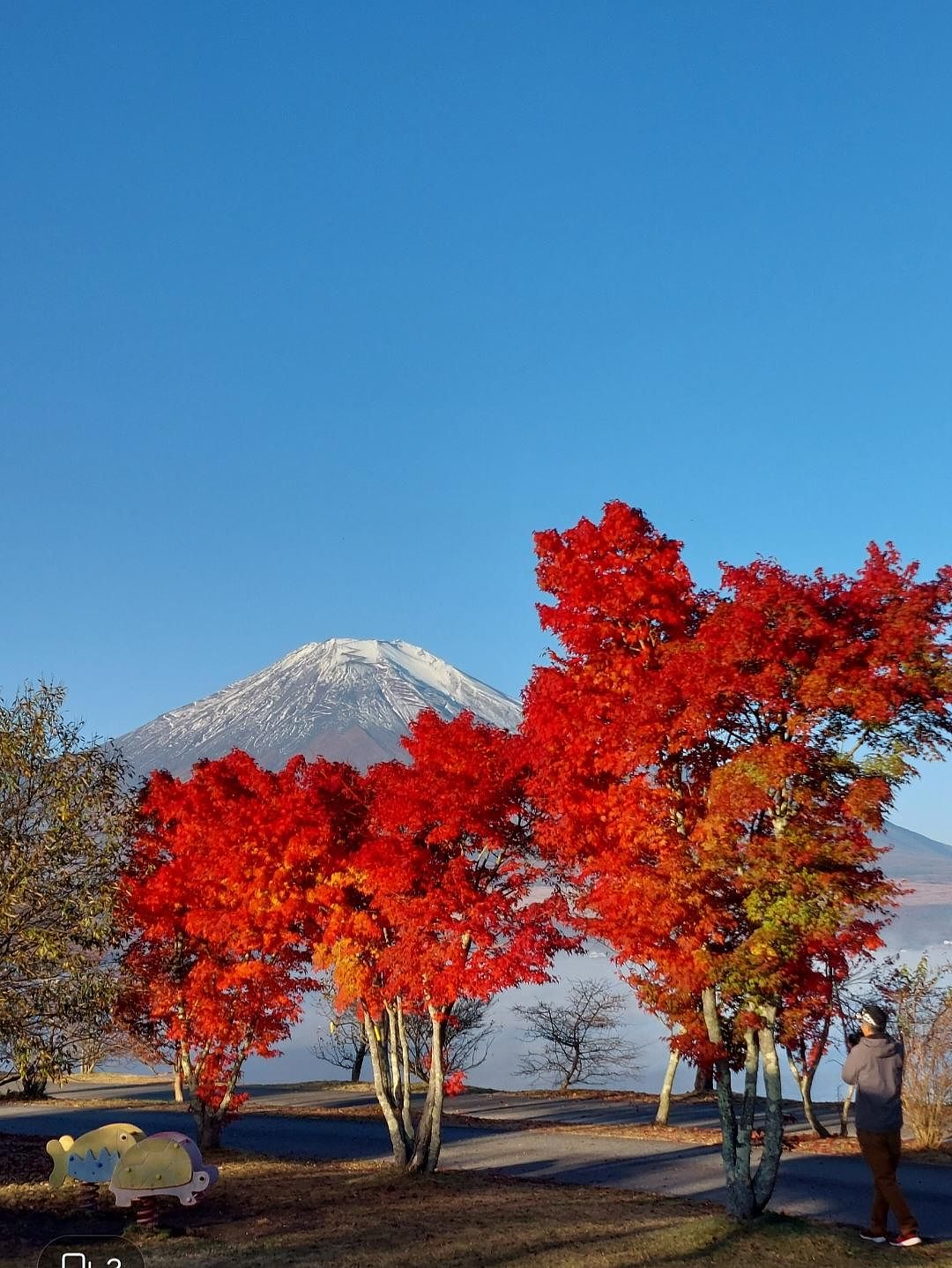 紅葉の山中湖