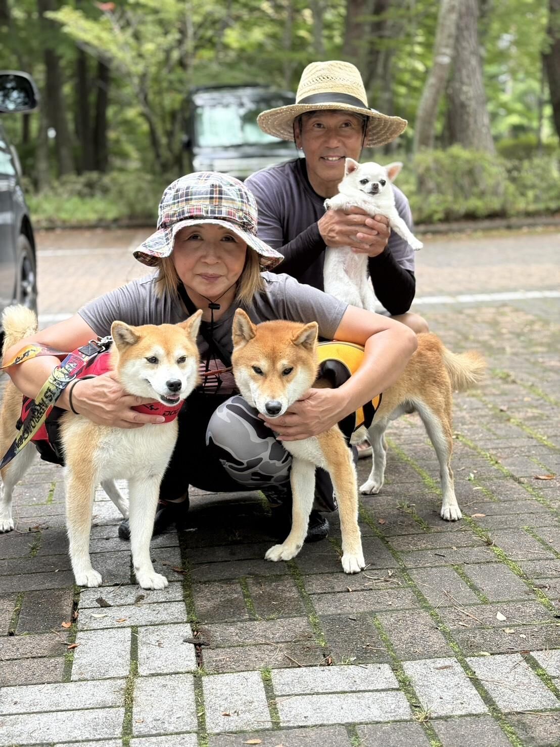 看板犬と管理人