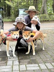 看板犬と管理人
