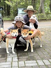 看板犬と管理人