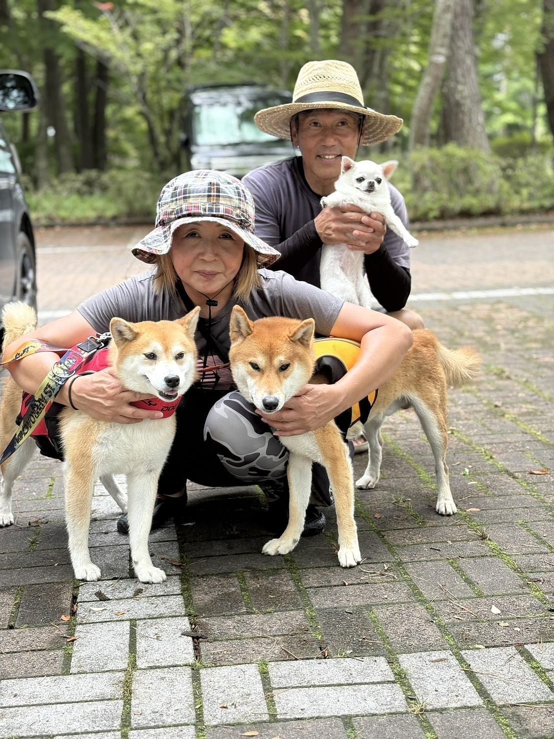 看板犬と管理人