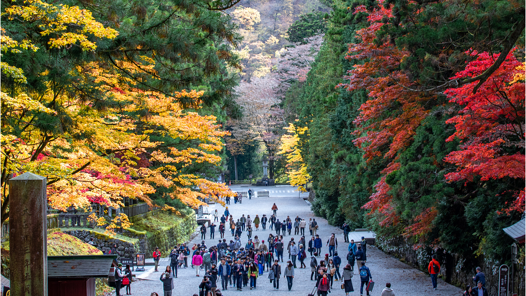 日光紅葉