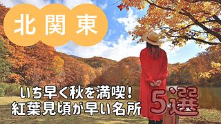 【2025年版】関東でいち早く秋を満喫！紅葉見頃が早い名所5選