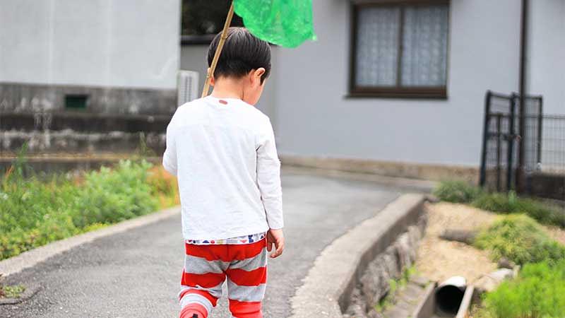 秋の虫を捕まえる場所と時間帯