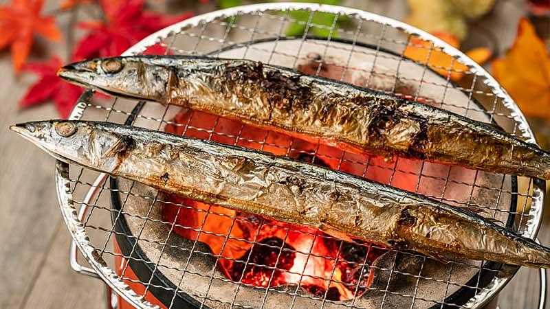 10月に旬を迎える魚介類【秋の味覚】