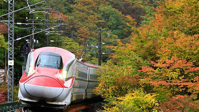 親孝行旅行を成功させる計画と注意点