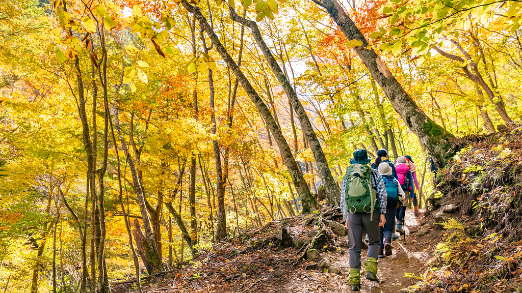 紅葉登山