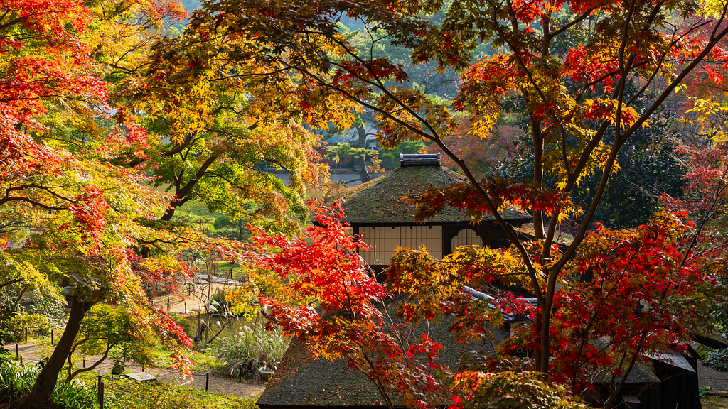 三溪園