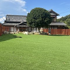 広いドッグラン