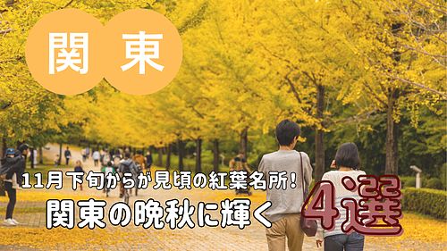 【2025年版】11月下旬からが見頃の紅葉名所！関東の晩秋に輝く4選