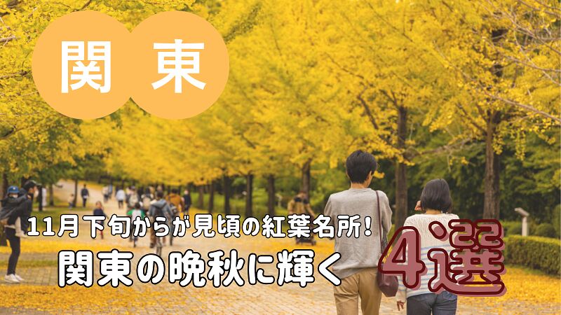 【2025年版】11月下旬からが見頃の紅葉名所!関東の晩秋に輝く4選