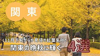 【2025年版】11月下旬からが見頃の紅葉名所！関東の晩秋に輝く4選