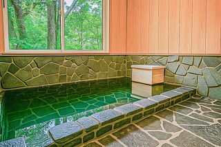 夏は青々とした緑を見ながら入浴出来ます