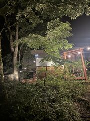 夜景