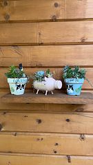 ビワコヒルズビレッジ（ログハウス）-image