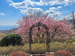  風薫る宿　伊豆星の舞-image
