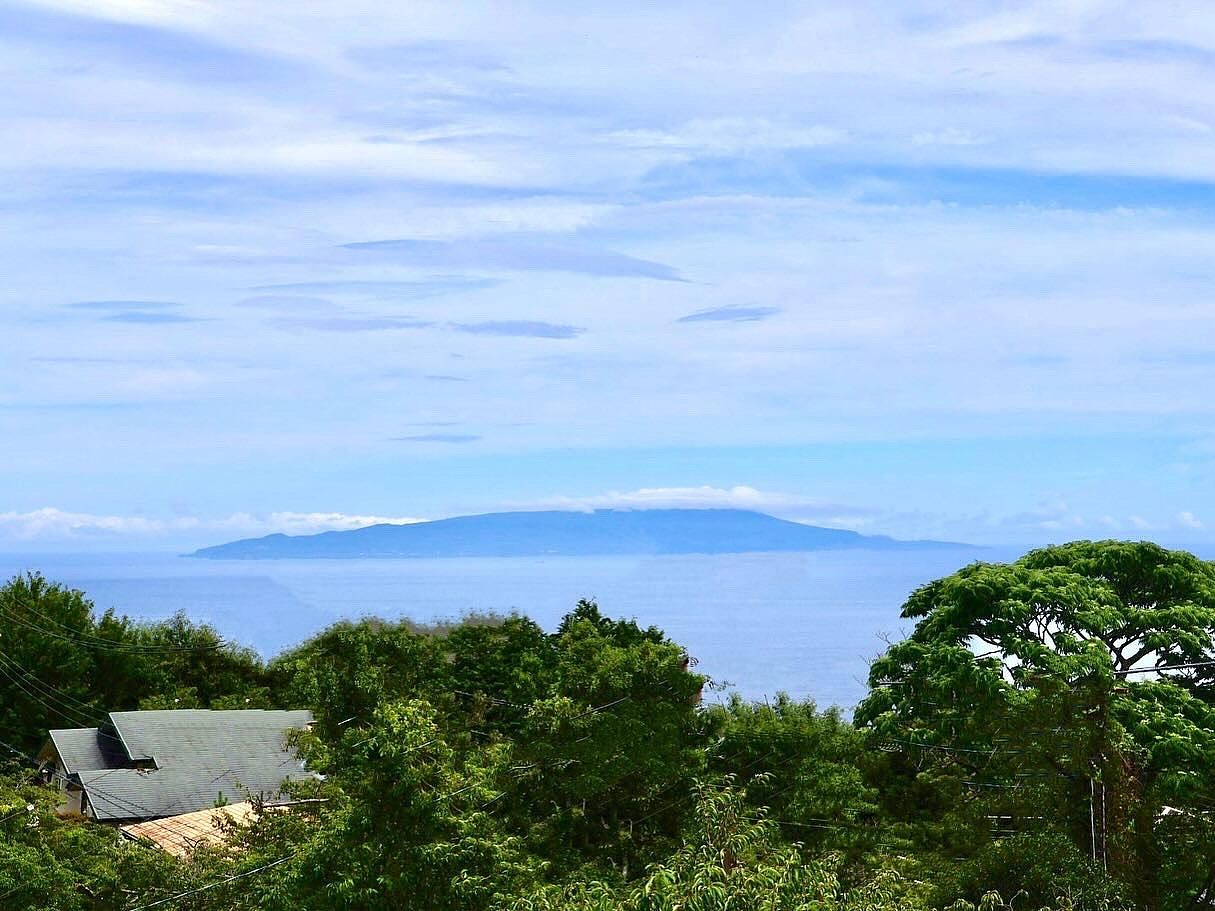 客室からの眺望