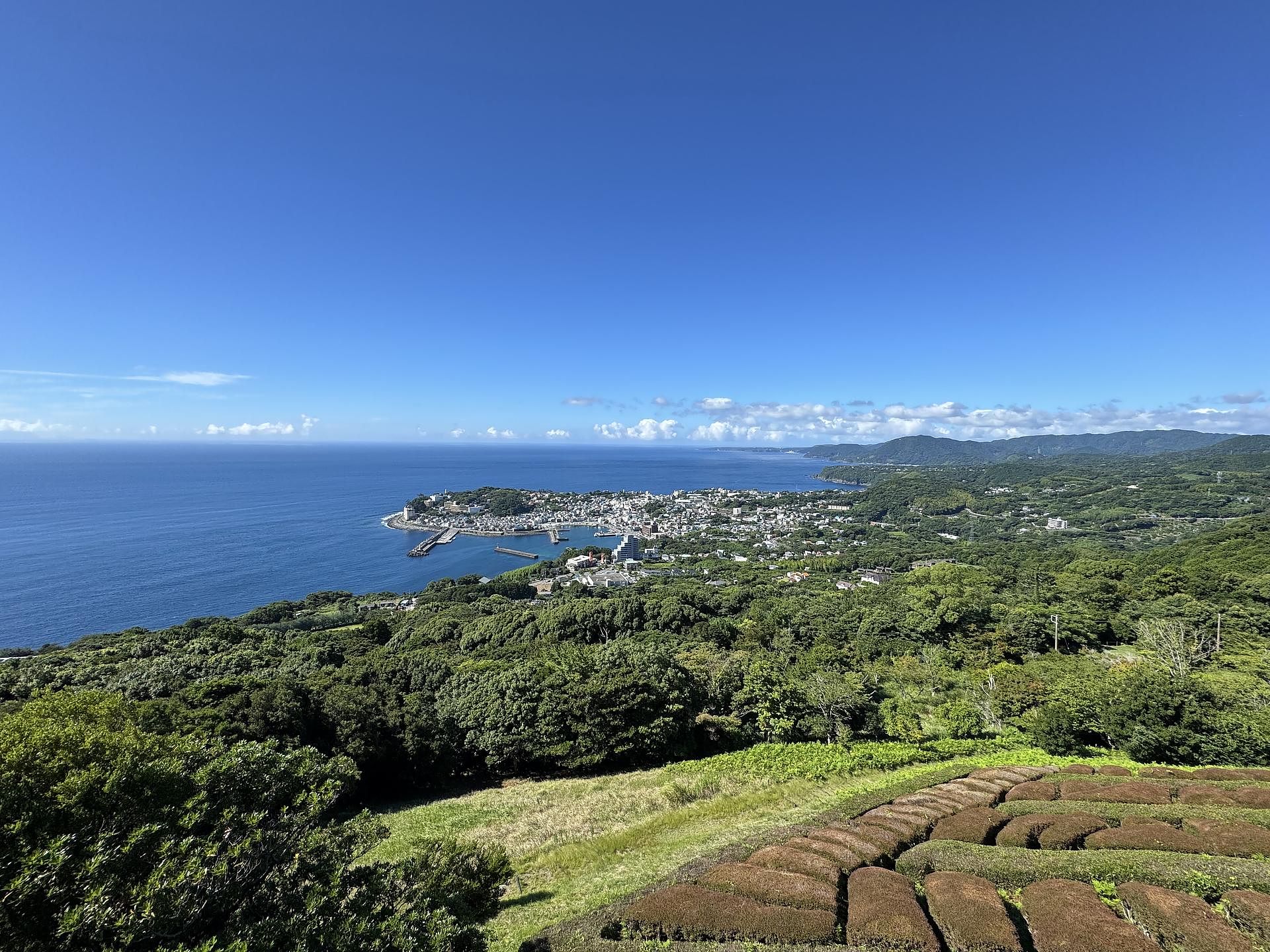近所の絶景スポット
