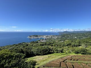 近所の絶景スポット