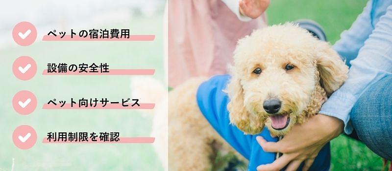 ペットと泊まれる貸別荘の選び方