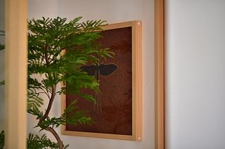 Carpe Diem Kamaida-image