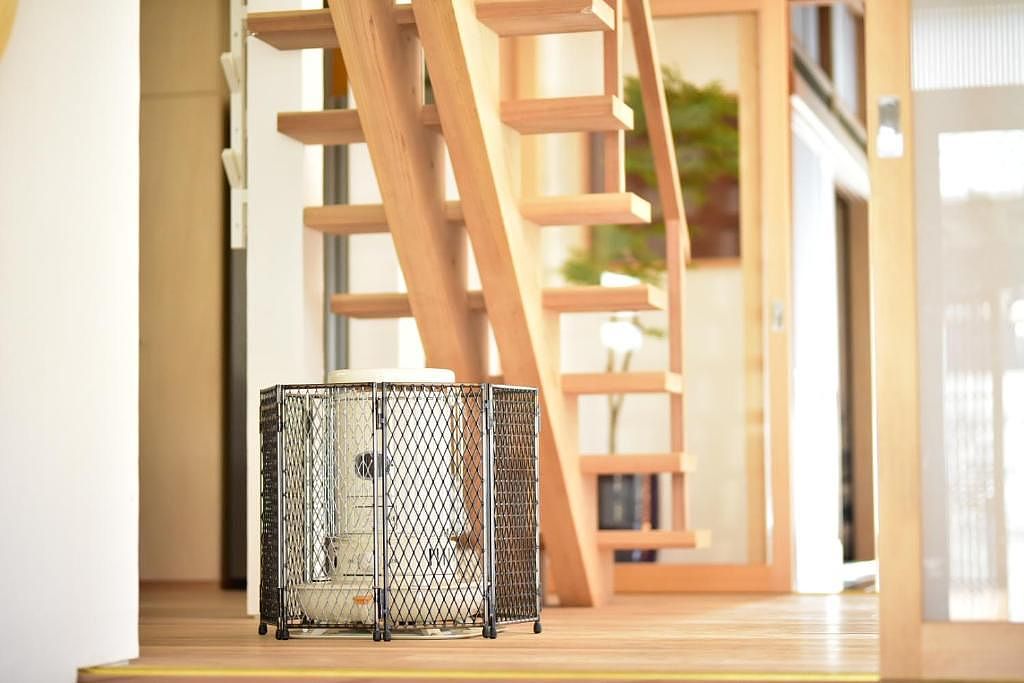 Carpe Diem Kamaida-image