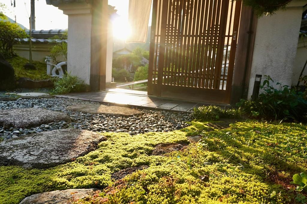 Carpe Diem Kamaida-image